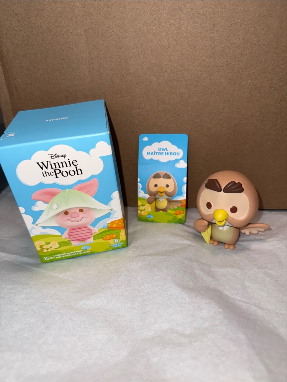 Winnie the Pooh Rainy Season Confirmed Owl